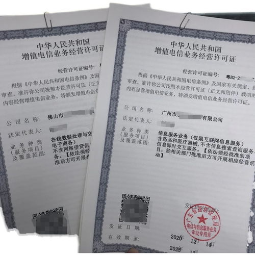 重慶音樂網文公司的咨詢服務 信息咨詢服務的深度解析